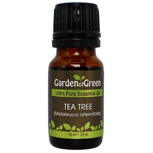 Tea Tree essential oil in amber glass bottle, family-crafted aromatherapy oil, front view on white background