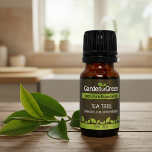 Tea Tree essential oil front view sitting on a wood table with a leaf on the lower left hand side. in the background is a kitchen