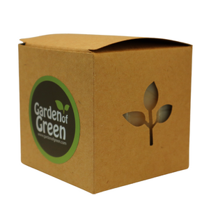 Vanilla Orange Soap – 3 Pack (4.5 oz Bars Each) – Soothing, Antioxidant-Rich, Natural Cold Process Soap