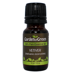 Vetiver essential oil in amber glass bottle, family-crafted aromatherapy oil, front view on white background