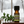 Wintergreen essential oil, family-crafted aromatherapy oil, front view sitting on a wood table with a sprig of wintergreen with winter outside