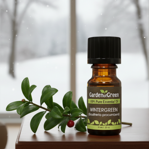 Wintergreen essential oil, family-crafted aromatherapy oil, front view sitting on a wood table with a sprig of wintergreen with winter outside