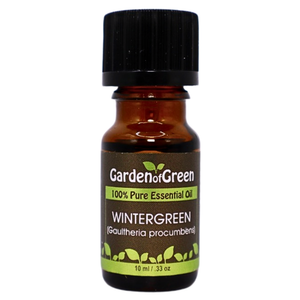 Wintergreen essential oil in amber glass bottle, family-crafted aromatherapy oil, front view on white background