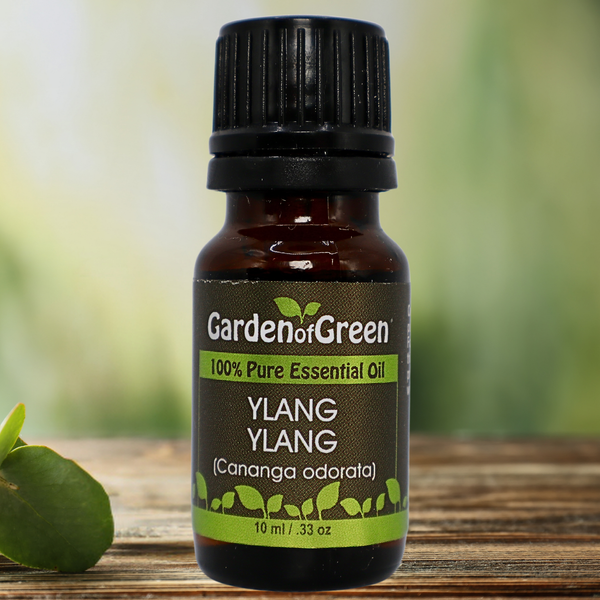 Ylang Ylang Garden of green essential oil front view sitting with red and green hearts around it with leaves laying around