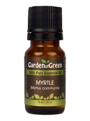 Myrtus communis: Myrtle has a fresh scent that is slightly camphoraceous. In ancient times Myrtle was used to remedy sore throats, coughs and respiratory issues. A good oil to diffuse to lift the spirit!   Blends well with Bergamot, Clary Sage, Clove Bud, Hyssop, Eucalyptus, Ginger, Lavender, Peppermint, Rosemary, Spearmint, Thyme, Tea Tree Best used blended or diluted with other essential oils.